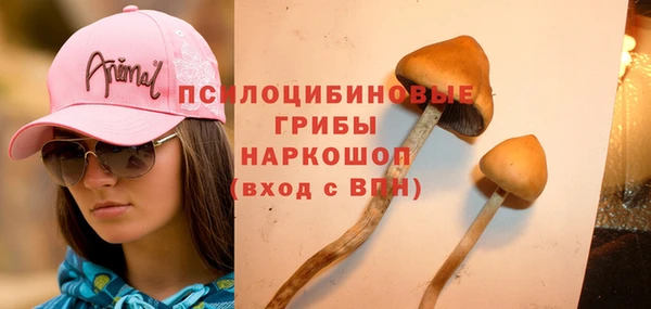 стаф Балабаново