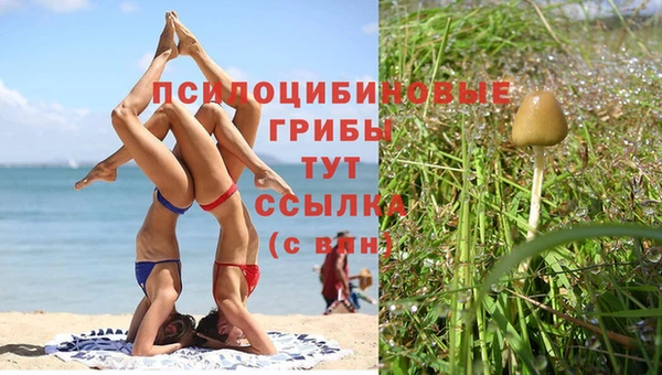 дистиллят марихуана Гусь-Хрустальный