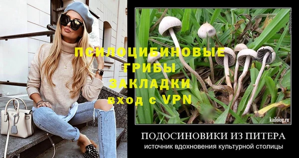 трава Инта