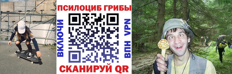 Галлюциногенные грибы Psilocybe  blacksprut   Нерюнгри 